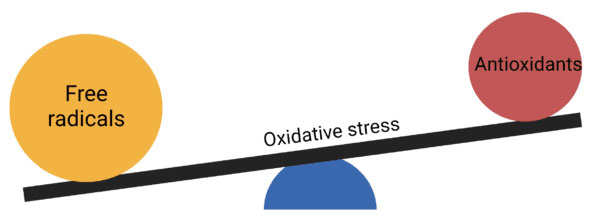 استرس اکسیداتیو چیست